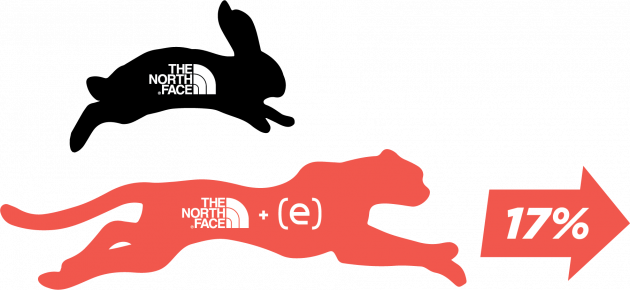 TNF-plus-elasticAsset-5-630x290 TNF-plus-elasticAsset-5-630×290