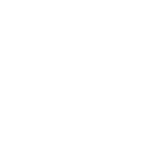 crocs crocs