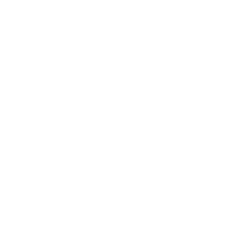 faction