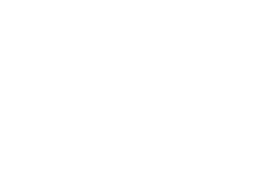 100 percent-01