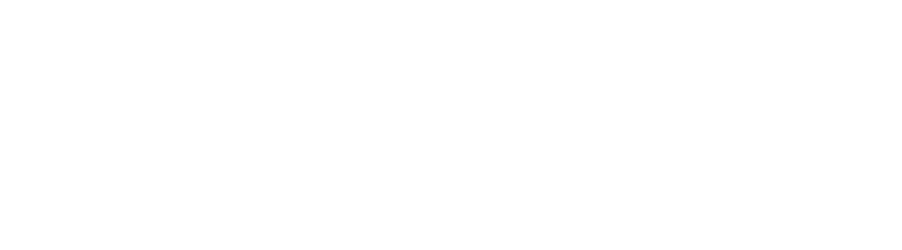 spyder spyder