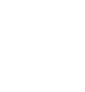 burton