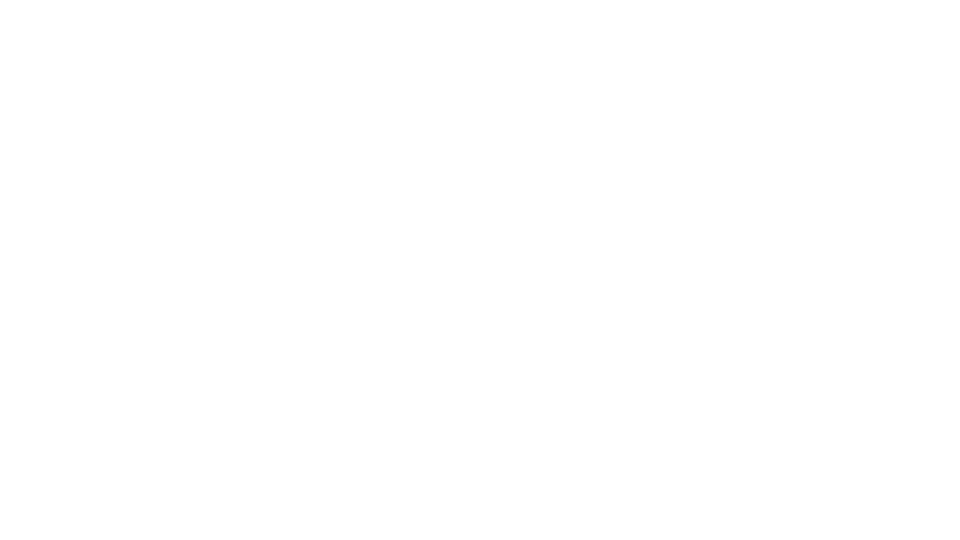 zoom zoom
