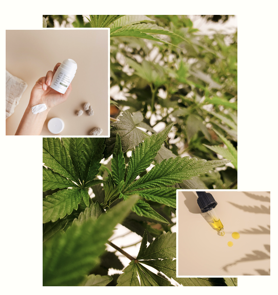 H&W Supporting Imagery