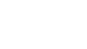 NetSuite-Logo