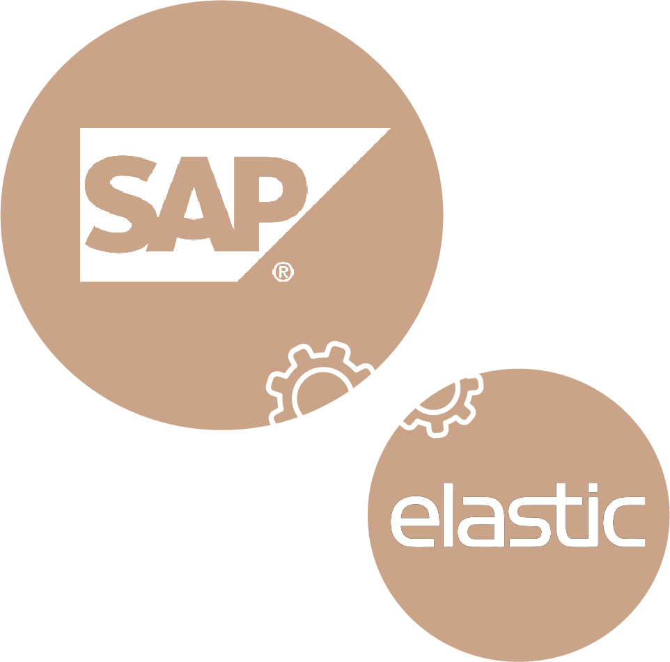 SAP + Elastic SAP + Elastic
