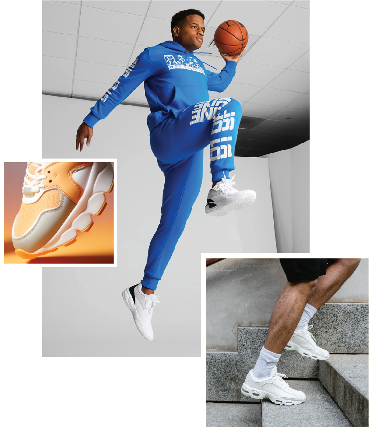 sneakerhead sneakerhead