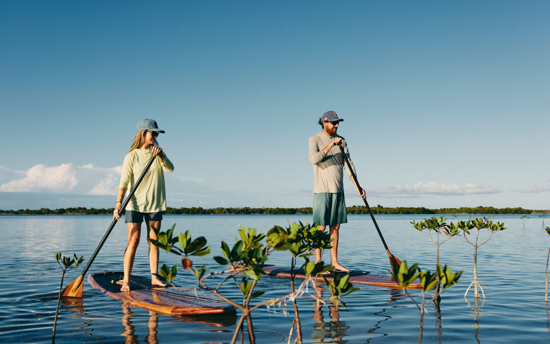 Free Fly Streamlines Sales & Ordering