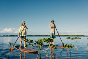 2 Stand Up Paddleboarders in the mangrove in FreeFly Apparel Sunshirts