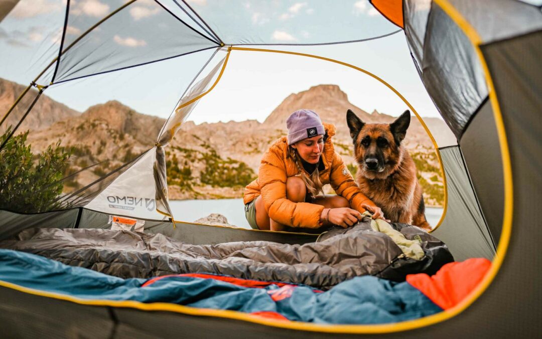 NEMO Revolutionizes B2B Customer Experience