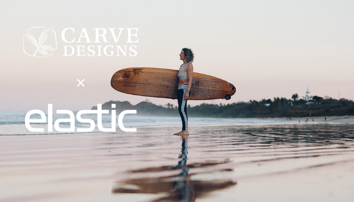 Carve x Elastic