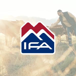 IFA Tradeshow