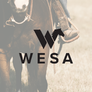 WESA Tradeshow