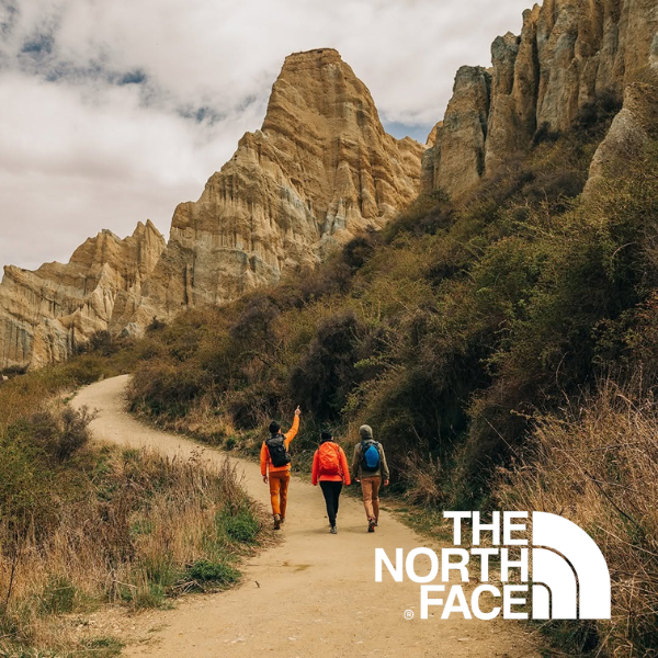 TNF (1)