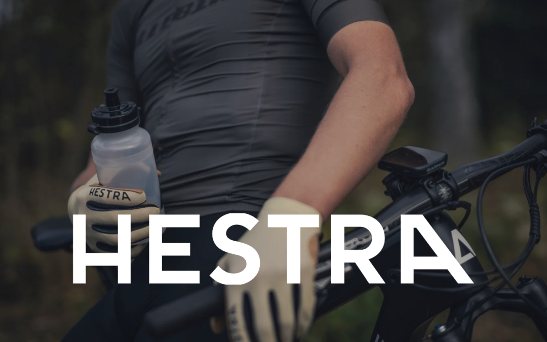 How Hestra successfully migrated to Microsoft Dynamics 365 Business Central ERP with Elastic Suite