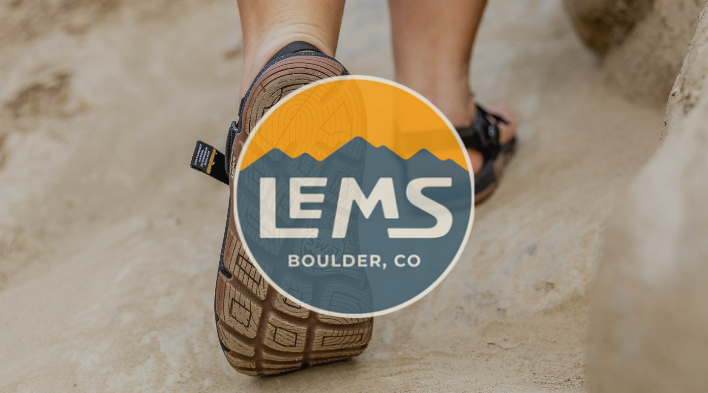 LEMS (2)